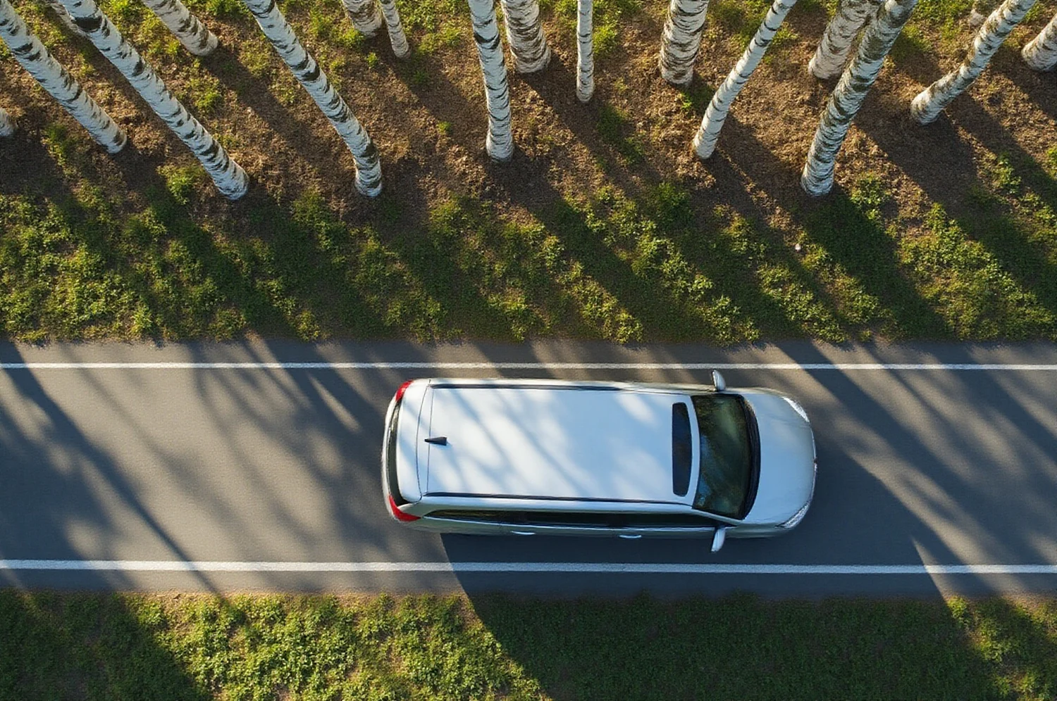 Šiuolaikinis automobilis medžių alėjoje iš viršaus
