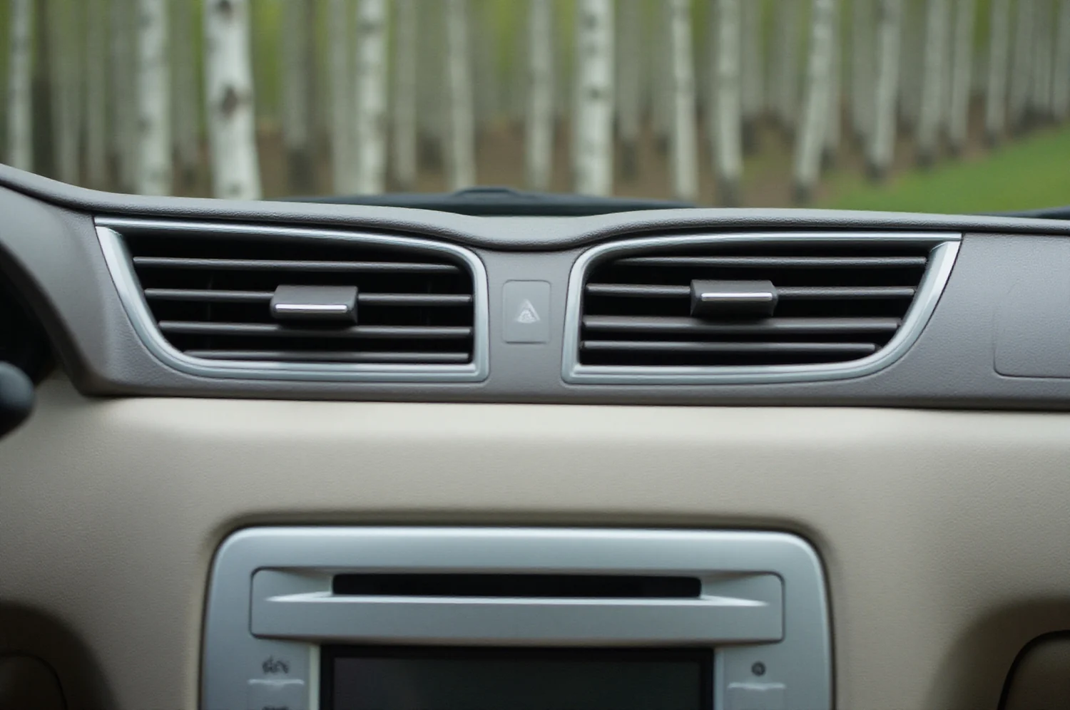 Automobilio centrinės konsolės detalė